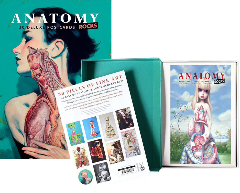 Anatomy Rocks new anatomy art examples by thomas robson post cards