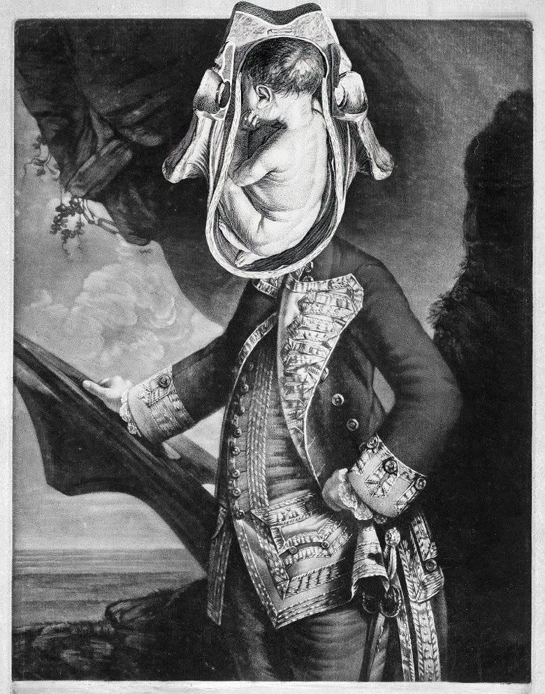 Still Lives Portraits The Morbid Portfolio image 2