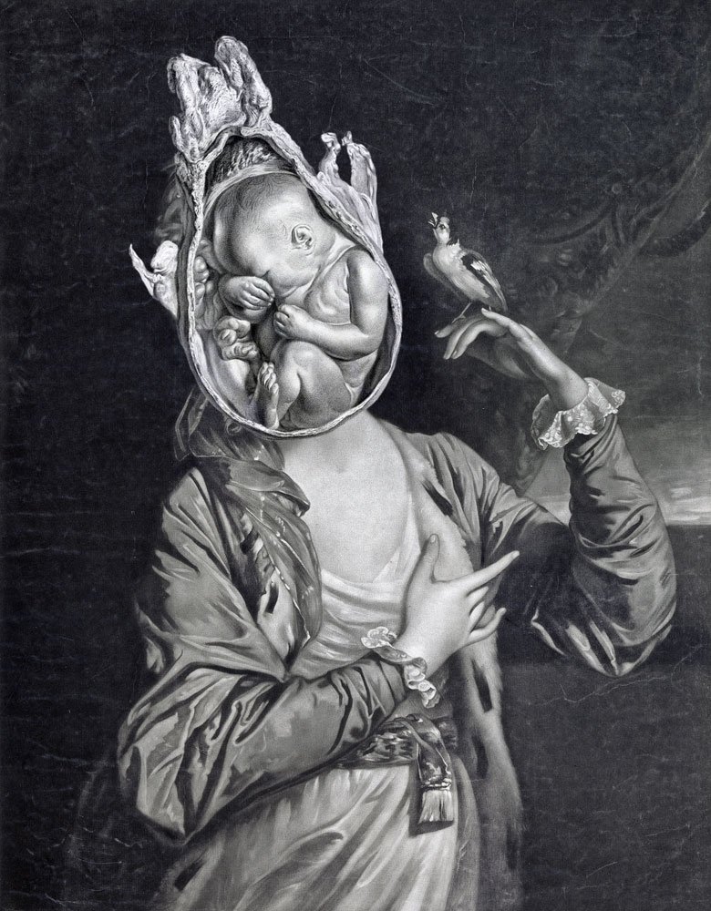 Still Lives Portraits The Morbid Portfolio image 4