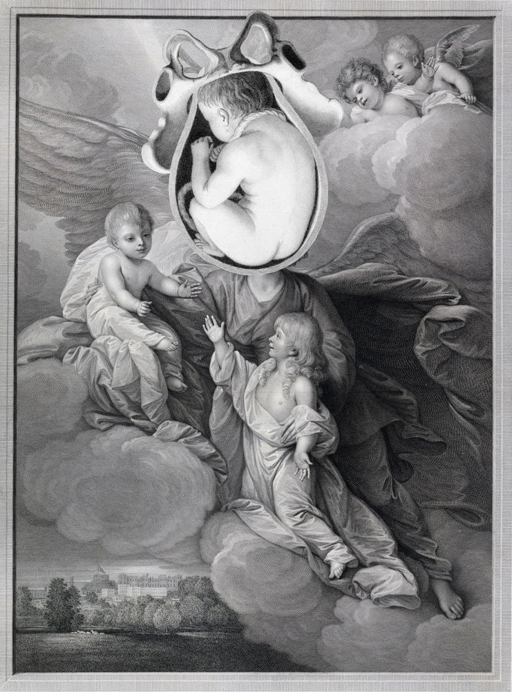 Still Lives Portraits The Morbid Portfolio image 5