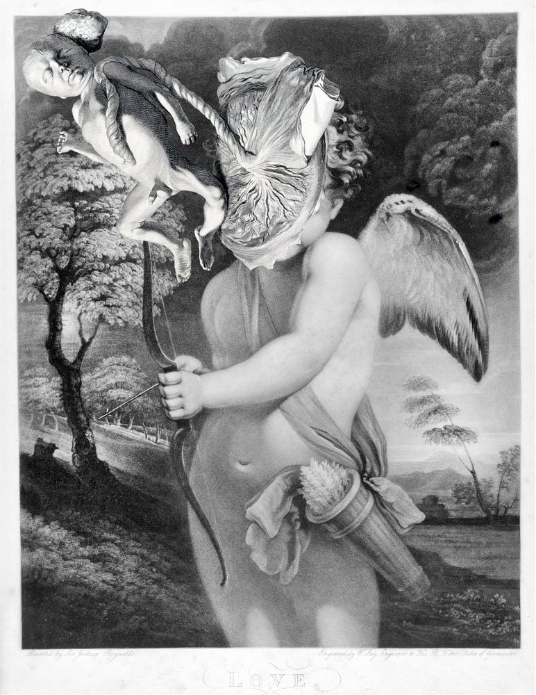 Still Lives Portraits The Morbid Portfolio image 9