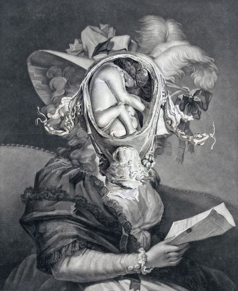 Still Lives Portraits The Morbid Portfolio image 11