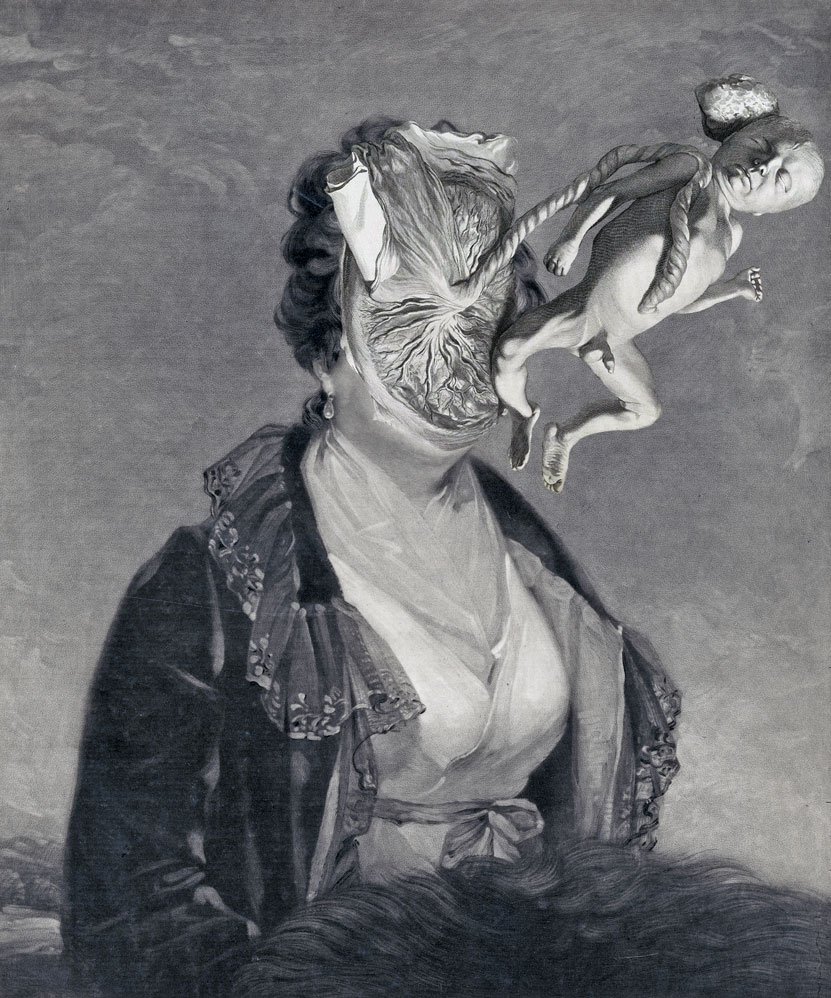 Still Lives Portraits The Morbid Portfolio image 15