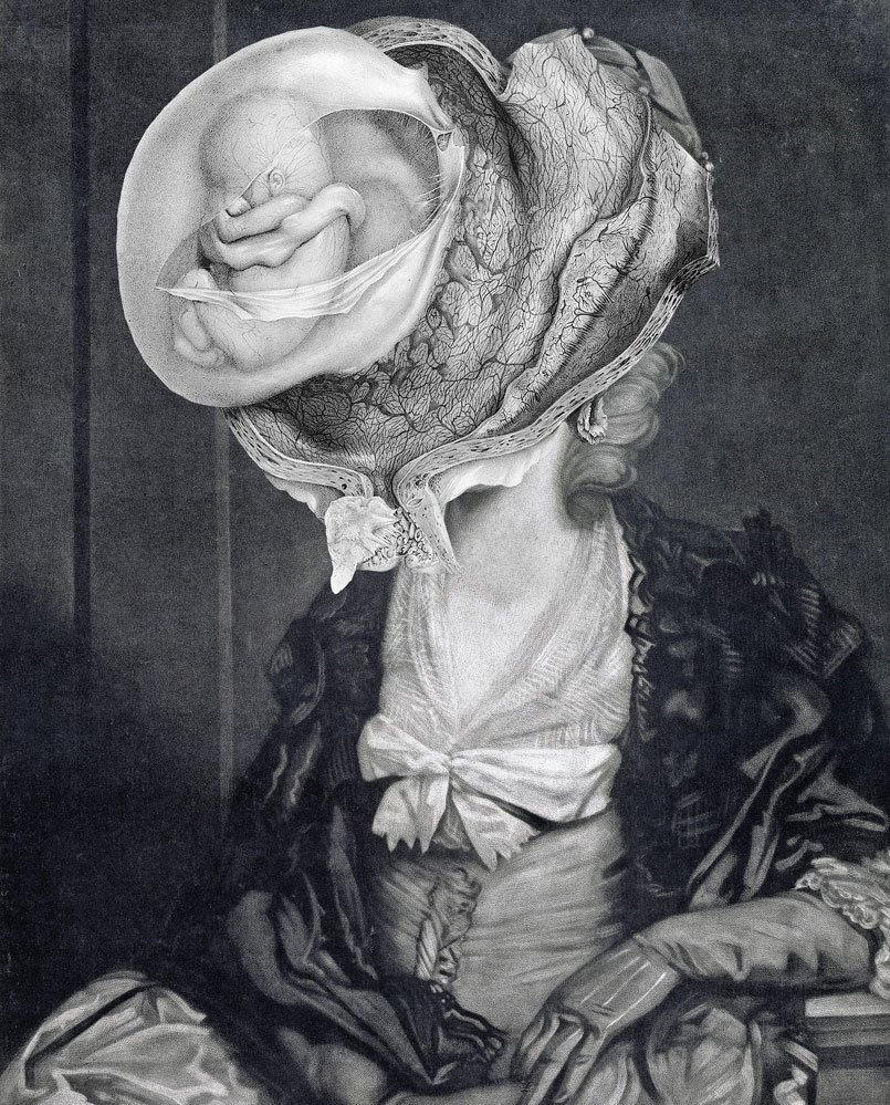 Still Lives Portraits The Morbid Portfolio image 18