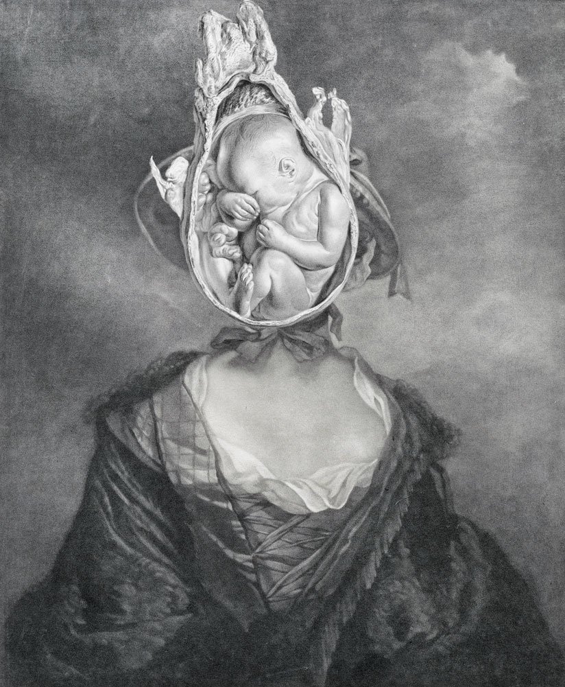 Still Lives Portraits The Morbid Portfolio image 20