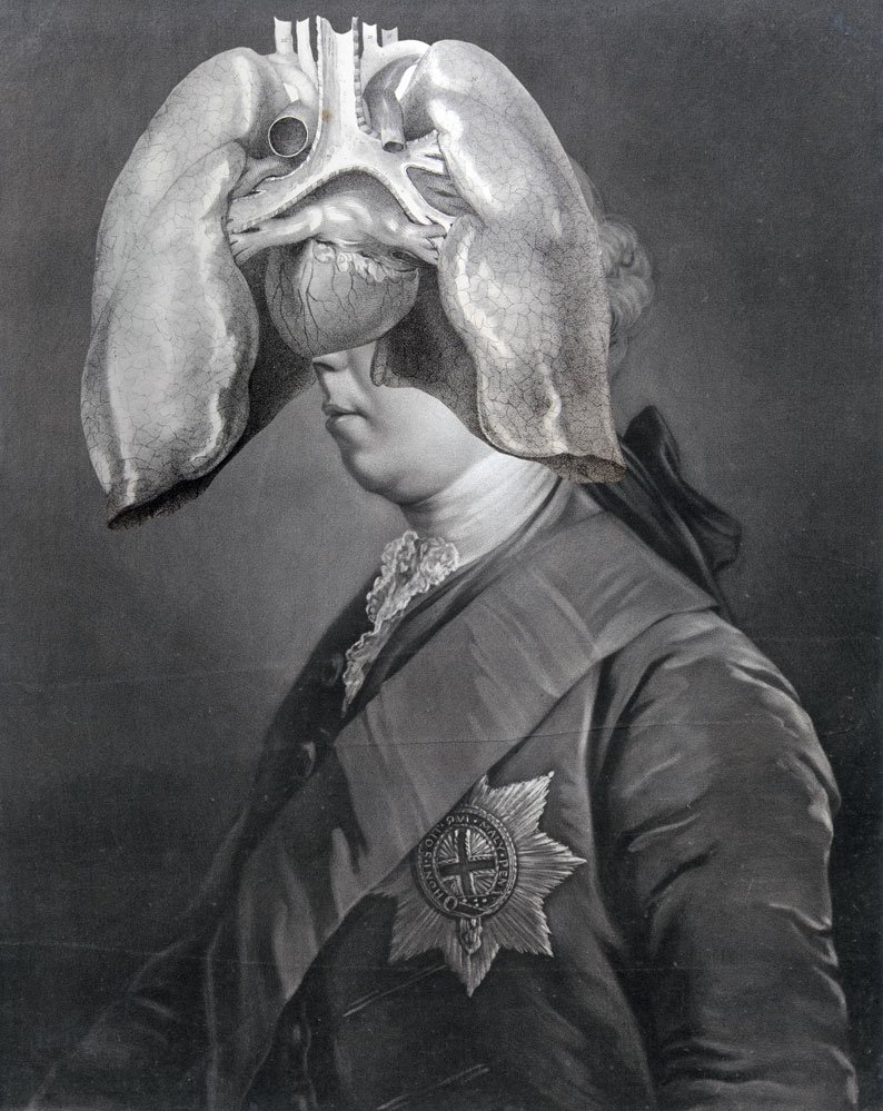 Still Lives Portraits The Morbid Portfolio image 24